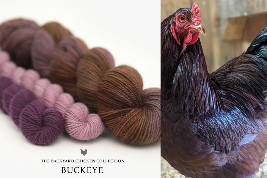 Hue Loco - Backyard Chicken/Rooster Collection